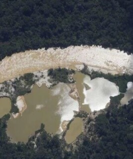Garimpo na Terra Indígena Yanomami (Foto: Fernando Frazão/Agência Brasil)