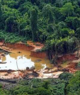 Garimpo cresceu quase 200% no território indígena (Foto: Agência Brasil)