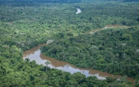 Vista aérea da Terra Indígena Pirititi, no Sul de Roraima (Foto: Felipe Werneck/Ascom Ibama)