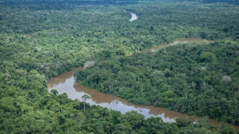 Vista aérea da Terra Indígena Pirititi, no Sul de Roraima (Foto: Felipe Werneck/Ascom Ibama)