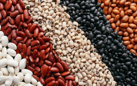 alguns alimentos e bebidas podem ser consumidos mesmo depois de vencidos, pois não oferecem riscos à saúde, desde que sejam armazenados de forma adequada.